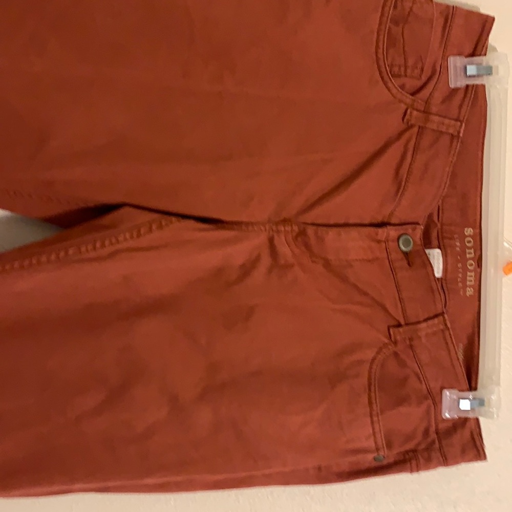 Rust colored pants good condition